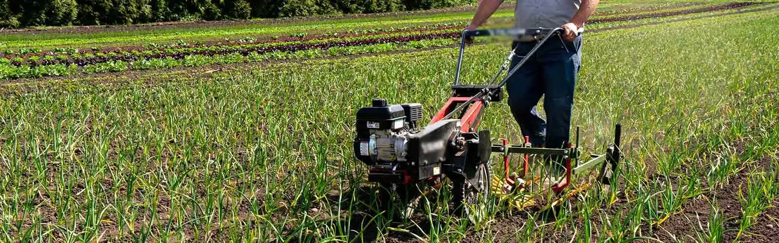 A Guide to Choosing the Right Two-Wheel Tractor for Guyanese Farmers